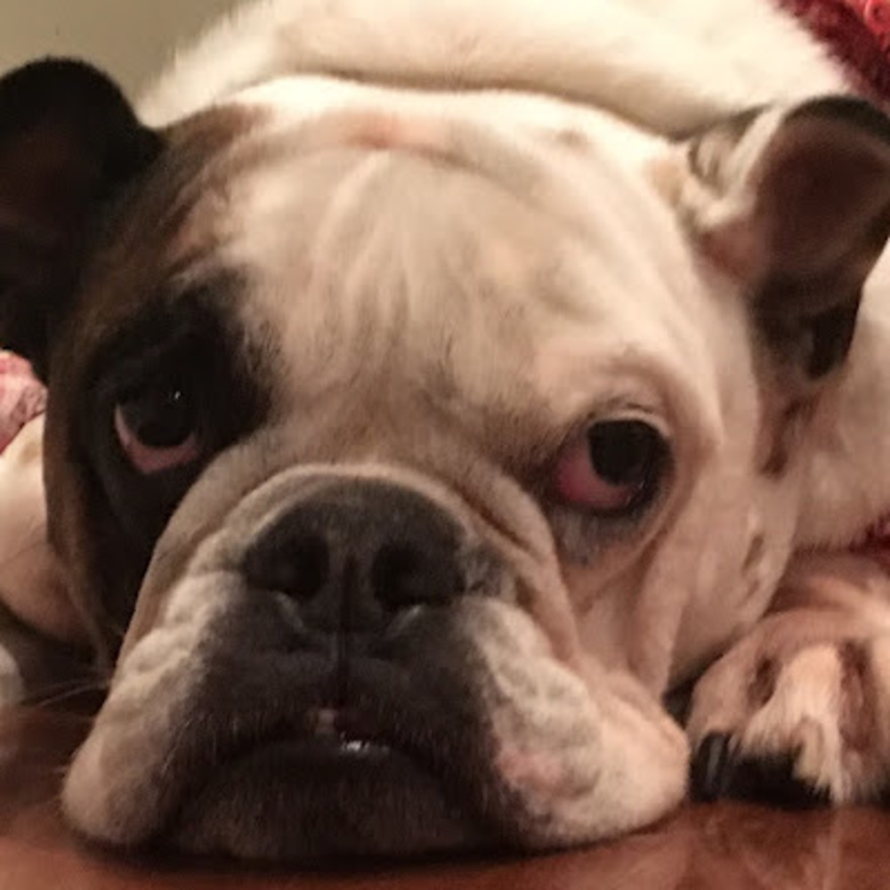 Meet your Posher, Ghunter